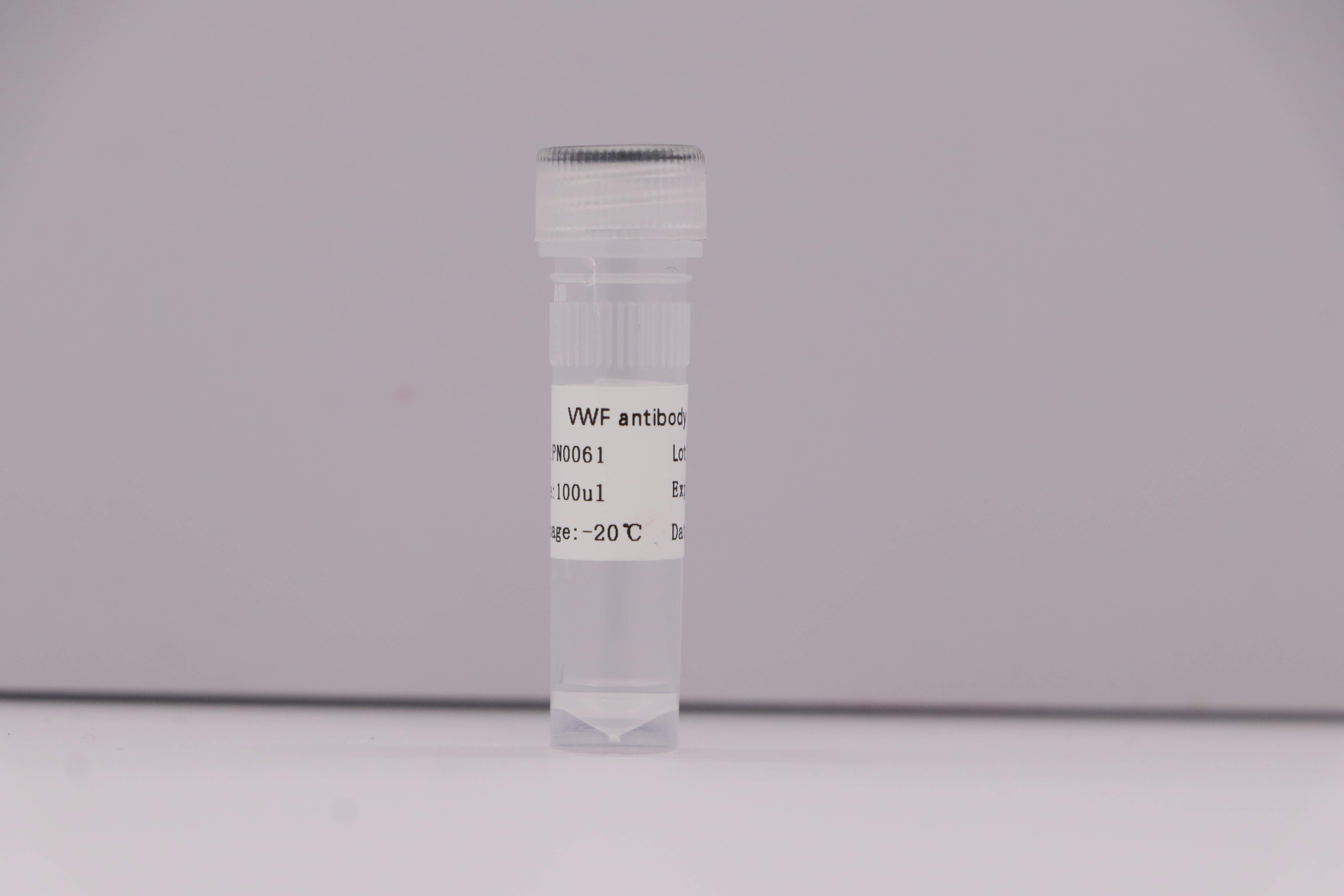 VWF antibody