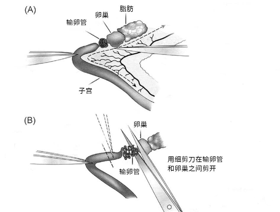 企業(yè)微信截圖_17454602658802(1).png