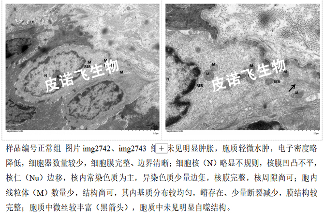 未標(biāo)題-1.jpg