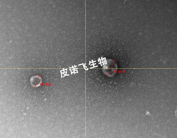 未ｄｓ題-1.jpg